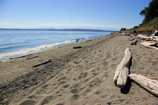 Outdoors: Consider Rediscovering Discovery Park Outdoors: Consider Rediscovering Discovery Park