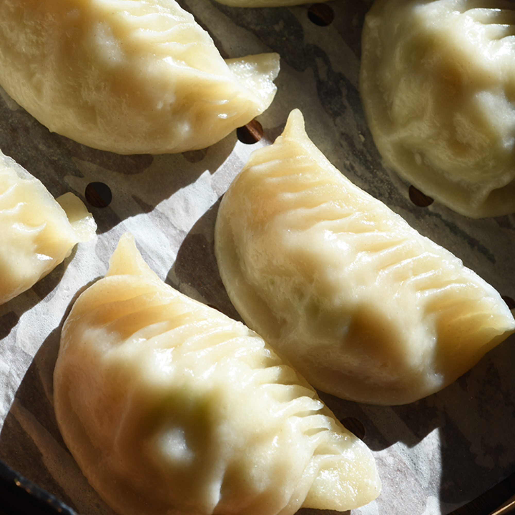 dinesty-cropped Dinesty Dumpling House