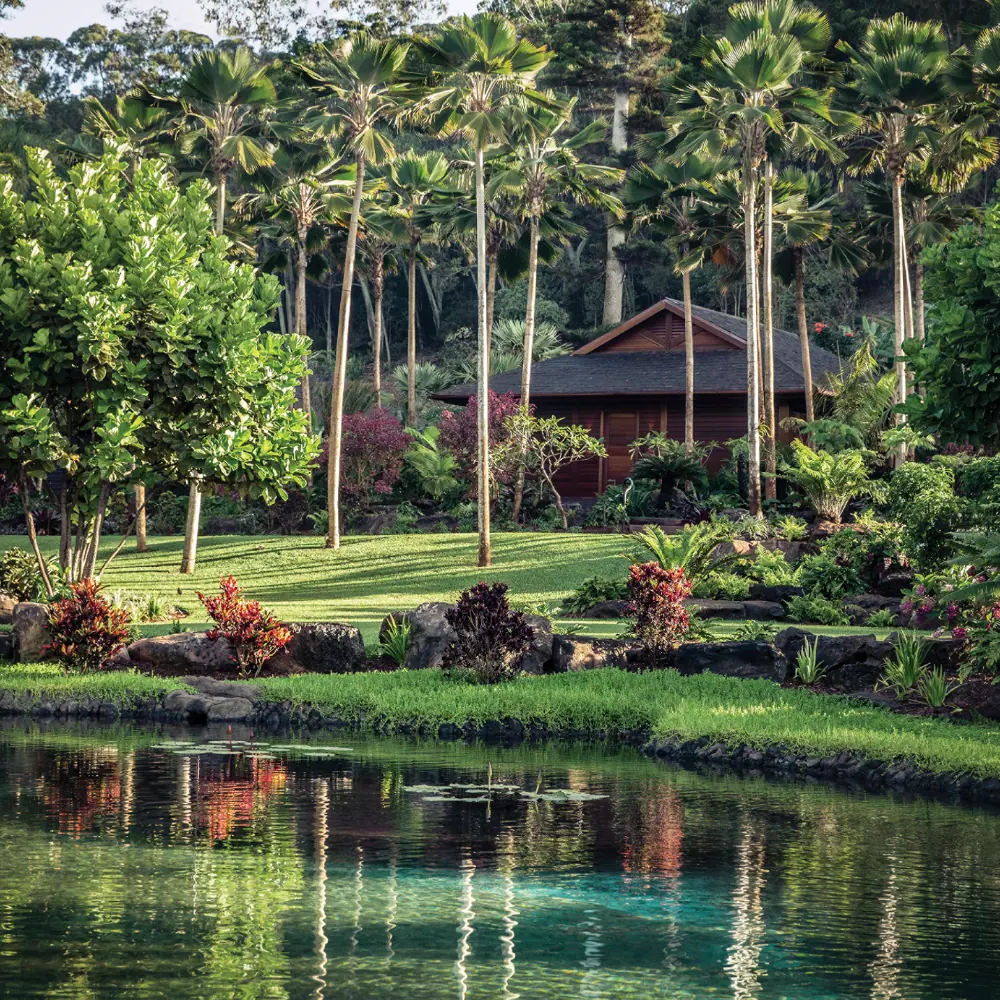 Healing the mind and body on Lānaʻi Healing the mind and body on Lānaʻi